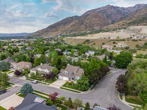 Residential neighborhood featuring mature trees and a paved street