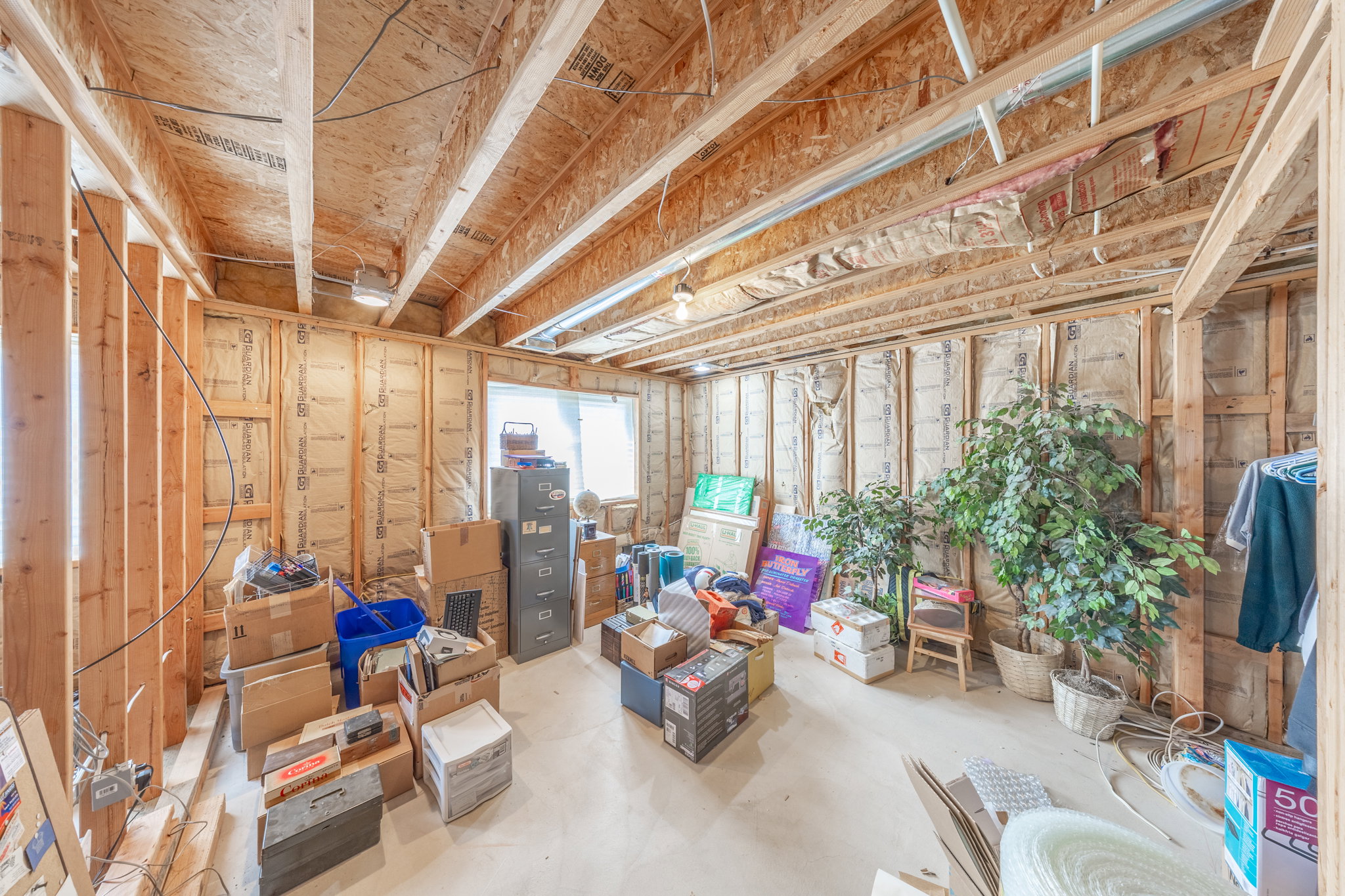 Unfinished basement