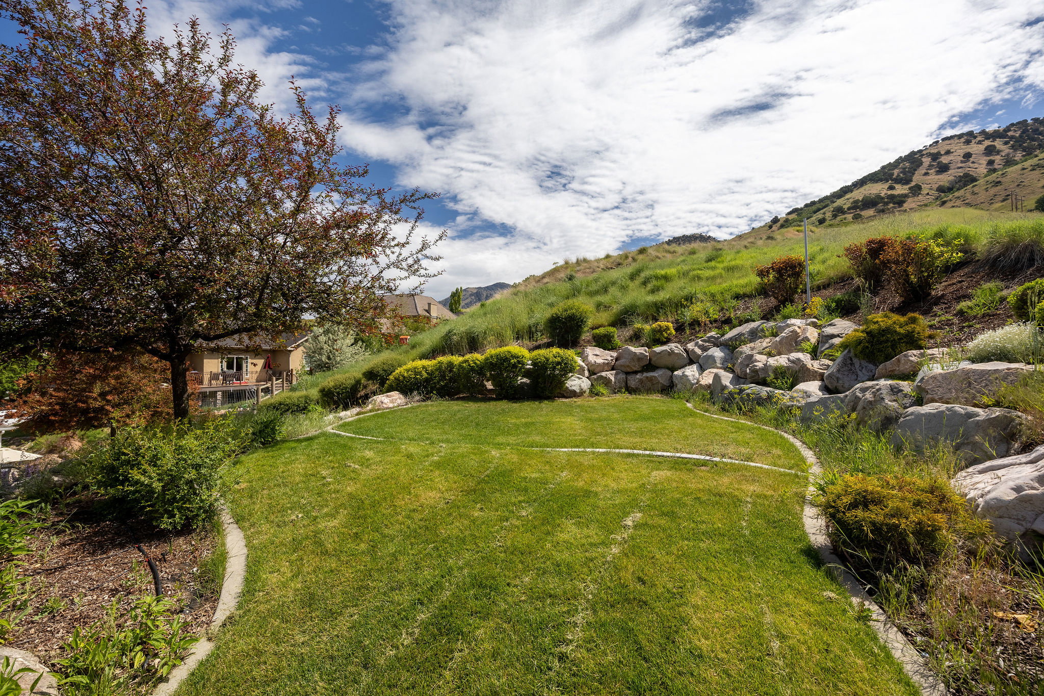 Expansive backyard featuring a lush lawn, concrete curbing, and a natural rock retaining wall