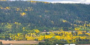 View looking south.