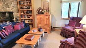 Seating area with a media cabinet, roman shades, a built in bookcase and wool Berber carpet.