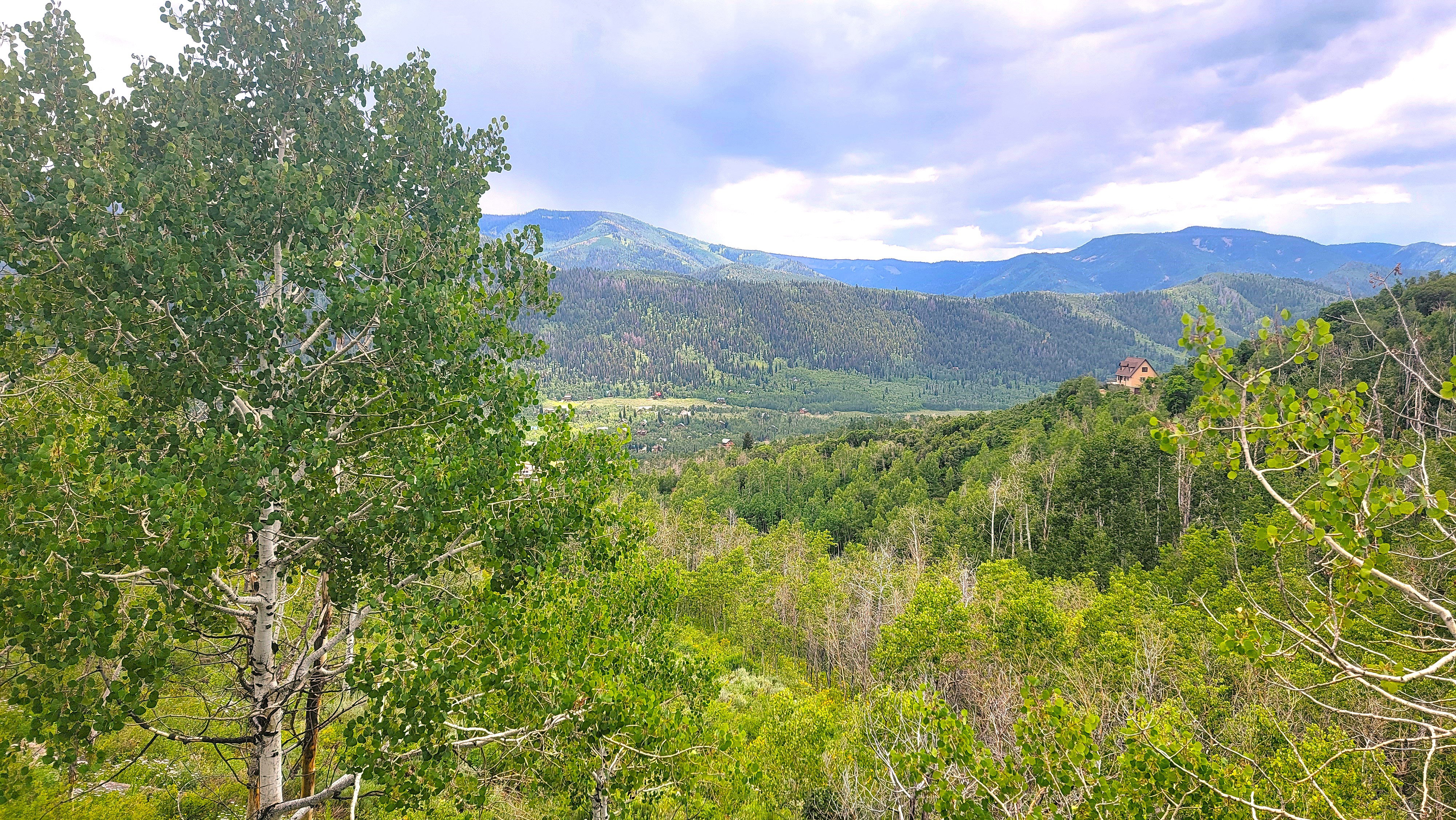 Summer view off of the deck.