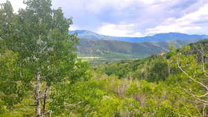 Summer view off of the deck.