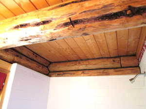 Detailed view of plank wooden bathroom ceiling.