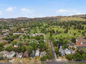 Aerial perspective showcasing a residential neighborhood with diverse architectural styles, mature trees, and a large green space