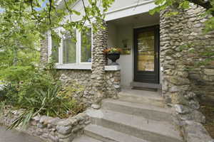 Stone facade entry with concrete steps and a dark-framed glass door