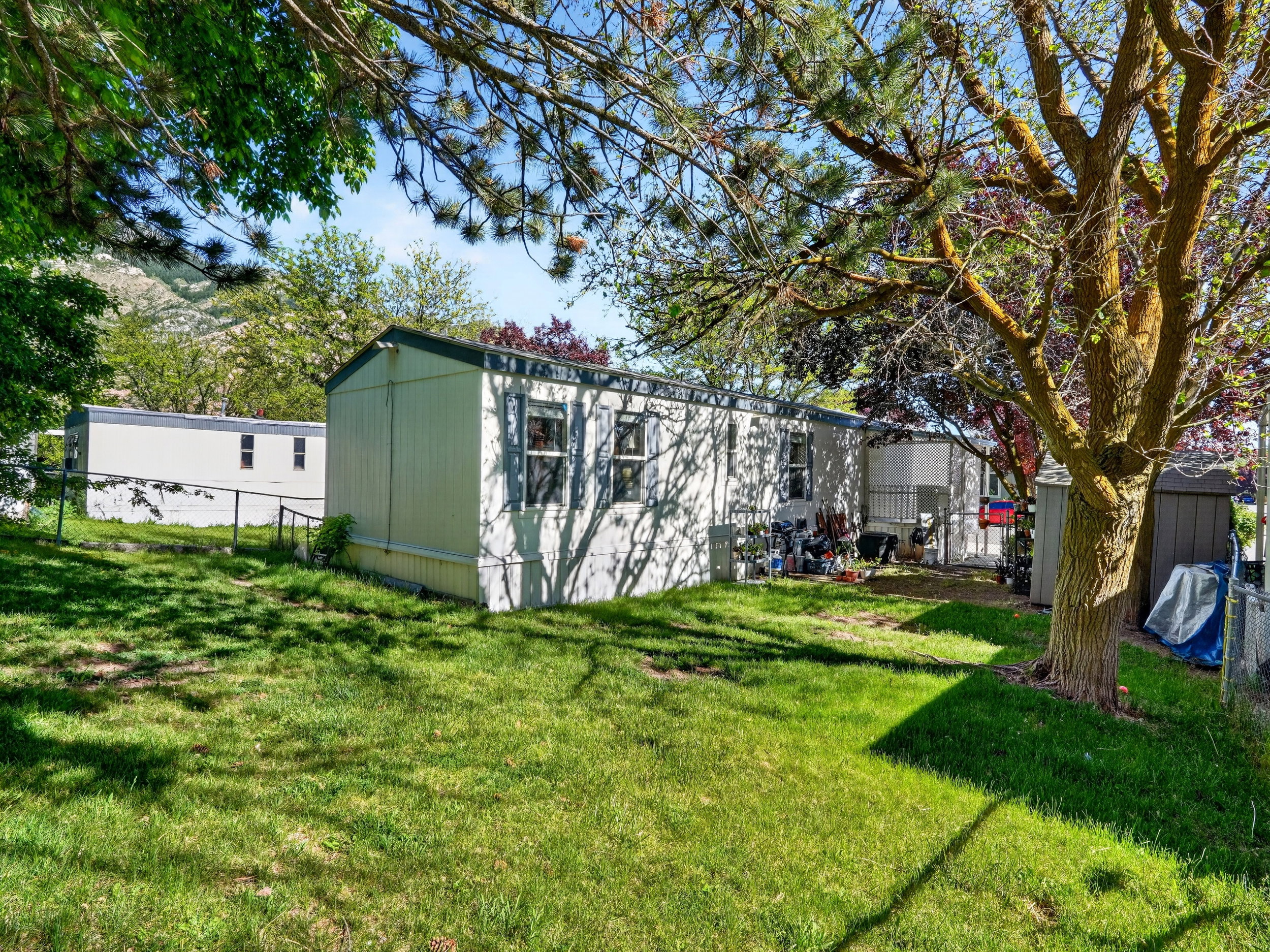 Expansive grassy yard with mature trees and a chain-link fence