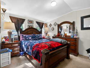 Carpeted bedroom featuring multiple windows, a ceiling-mounted light fixture, and light-toned walls