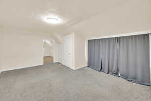 Carpeted room featuring neutral wall tones, a ceiling-mounted light fixture, and a built-in door