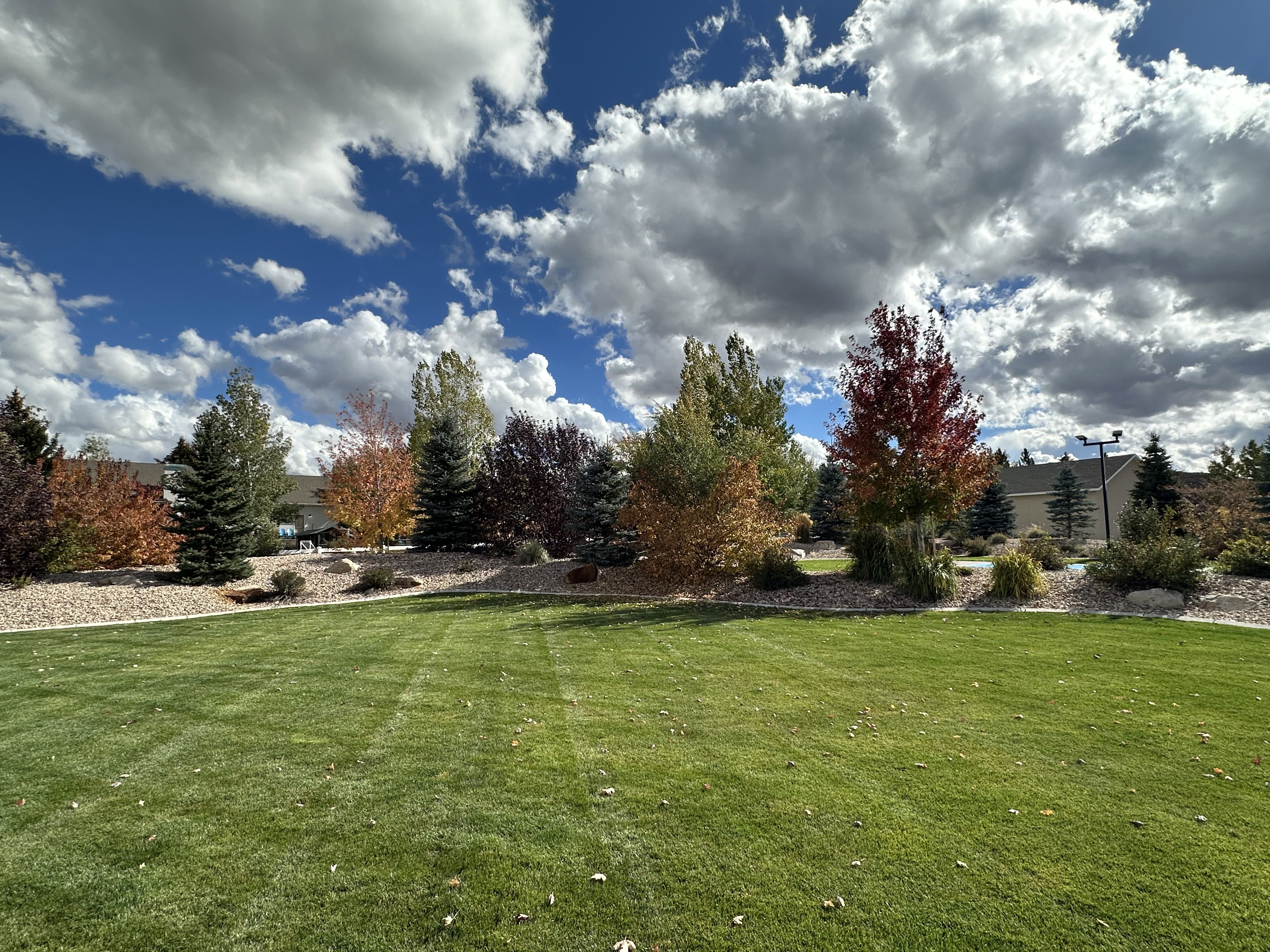 Expansive lawn with manicured grass and a landscaped border featuring mature trees and shrubs