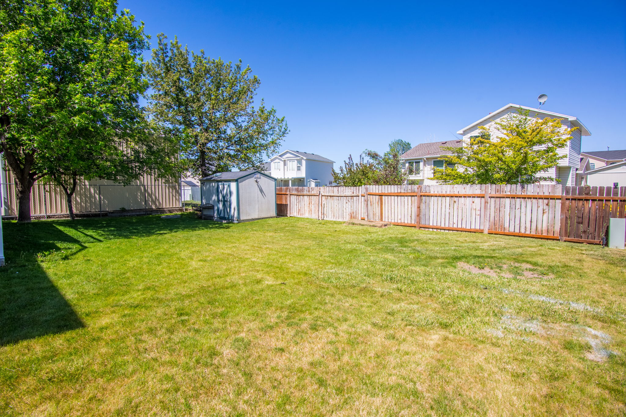 Expansive grass lawn featuring a metal storage shed and mature trees
