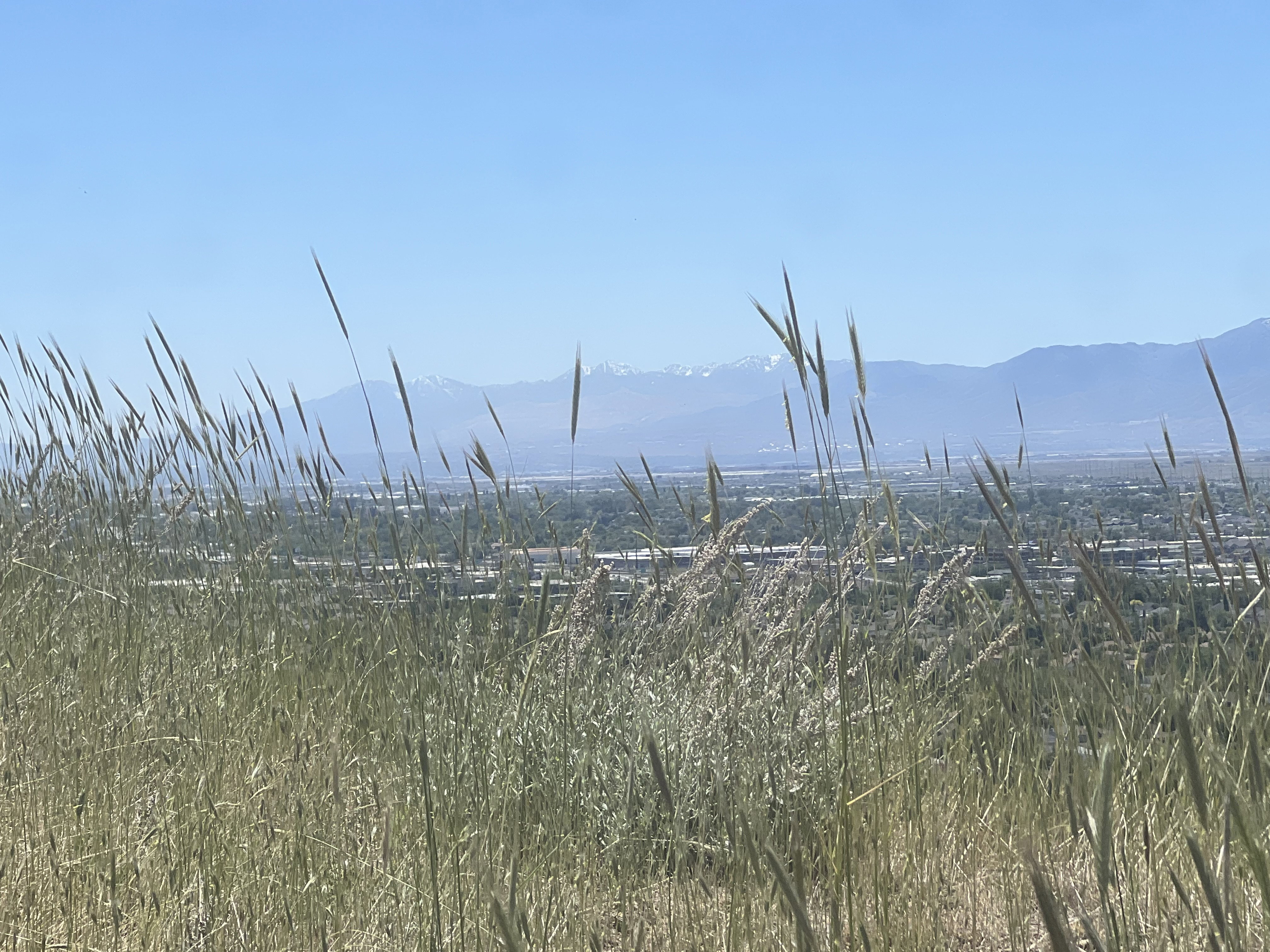 Expansive natural landscape with foreground grasses, distant mountainous terrain, and a city panorama