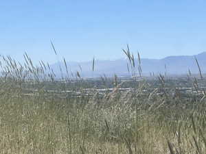 Expansive natural landscape with foreground grasses, distant mountainous terrain, and a city panorama