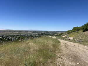 Expansive hillside property featuring a gravel path, mature trees, and natural grasses overlooking a distant residential area