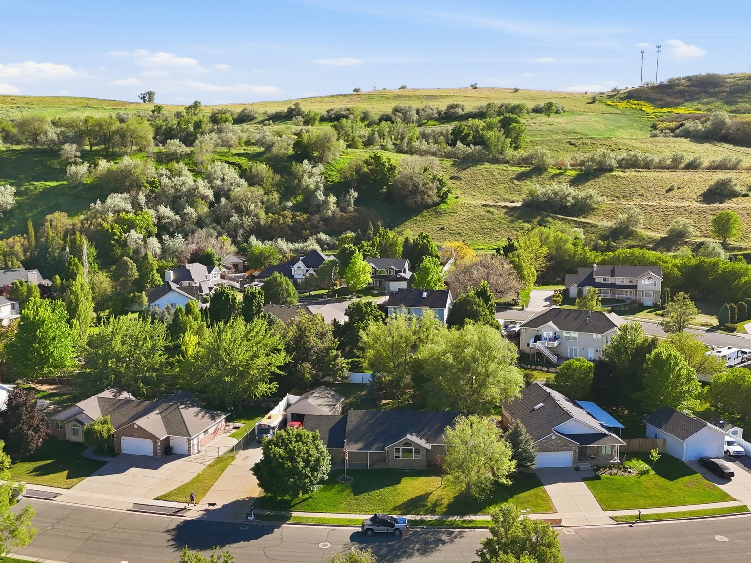 Residential neighborhood featuring mature trees and established homes