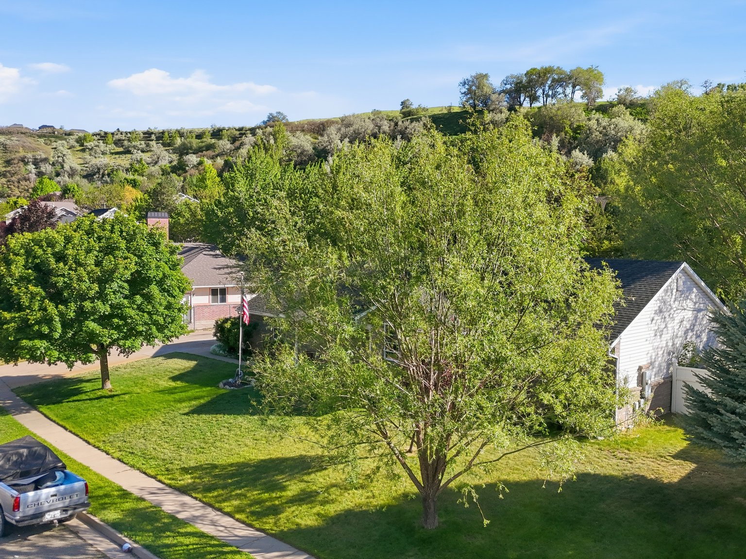 Exterior property with a sloped landscape and mature trees