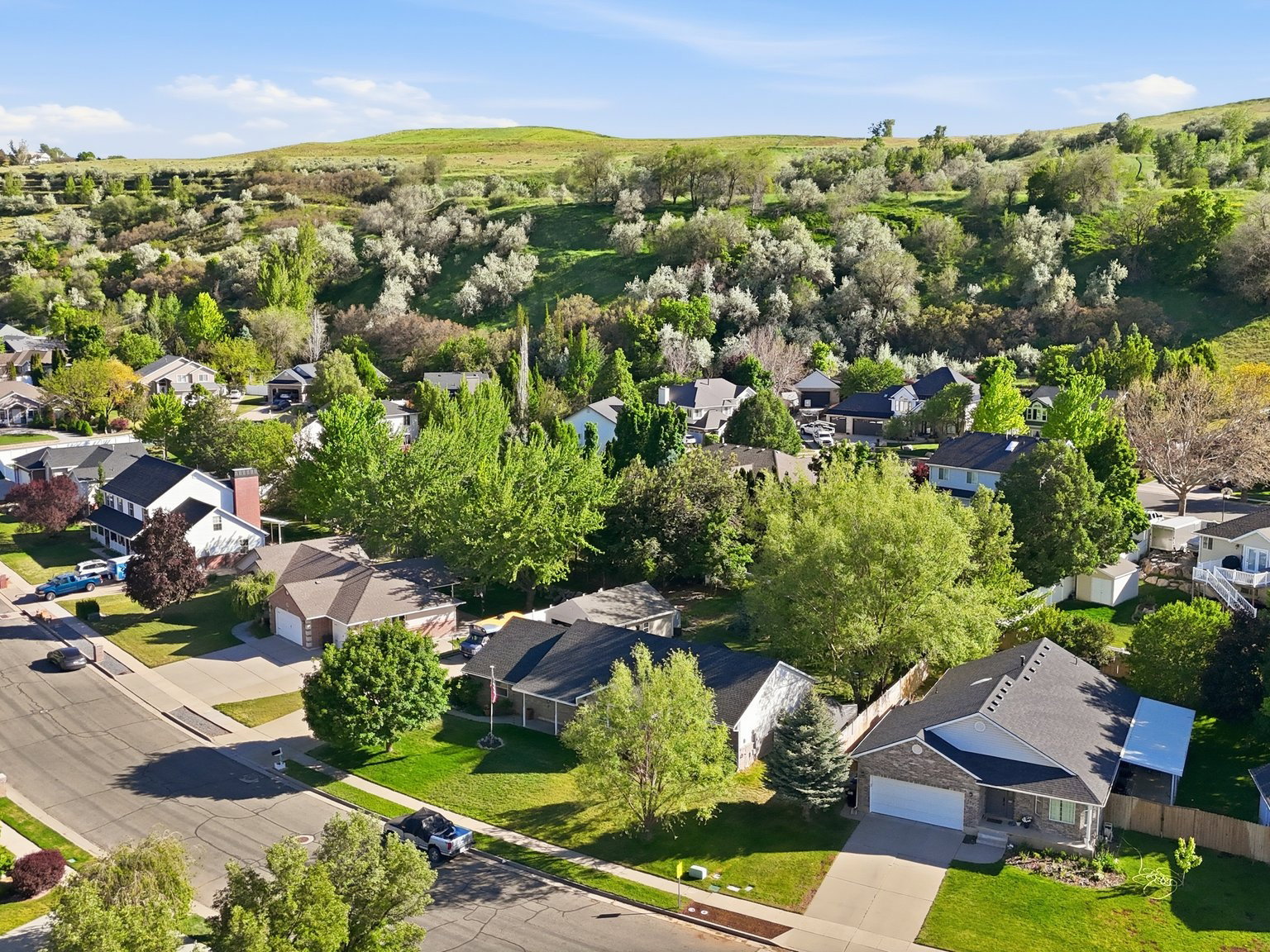 Residential neighborhood featuring a mix of architectural styles, mature trees, and landscaped properties