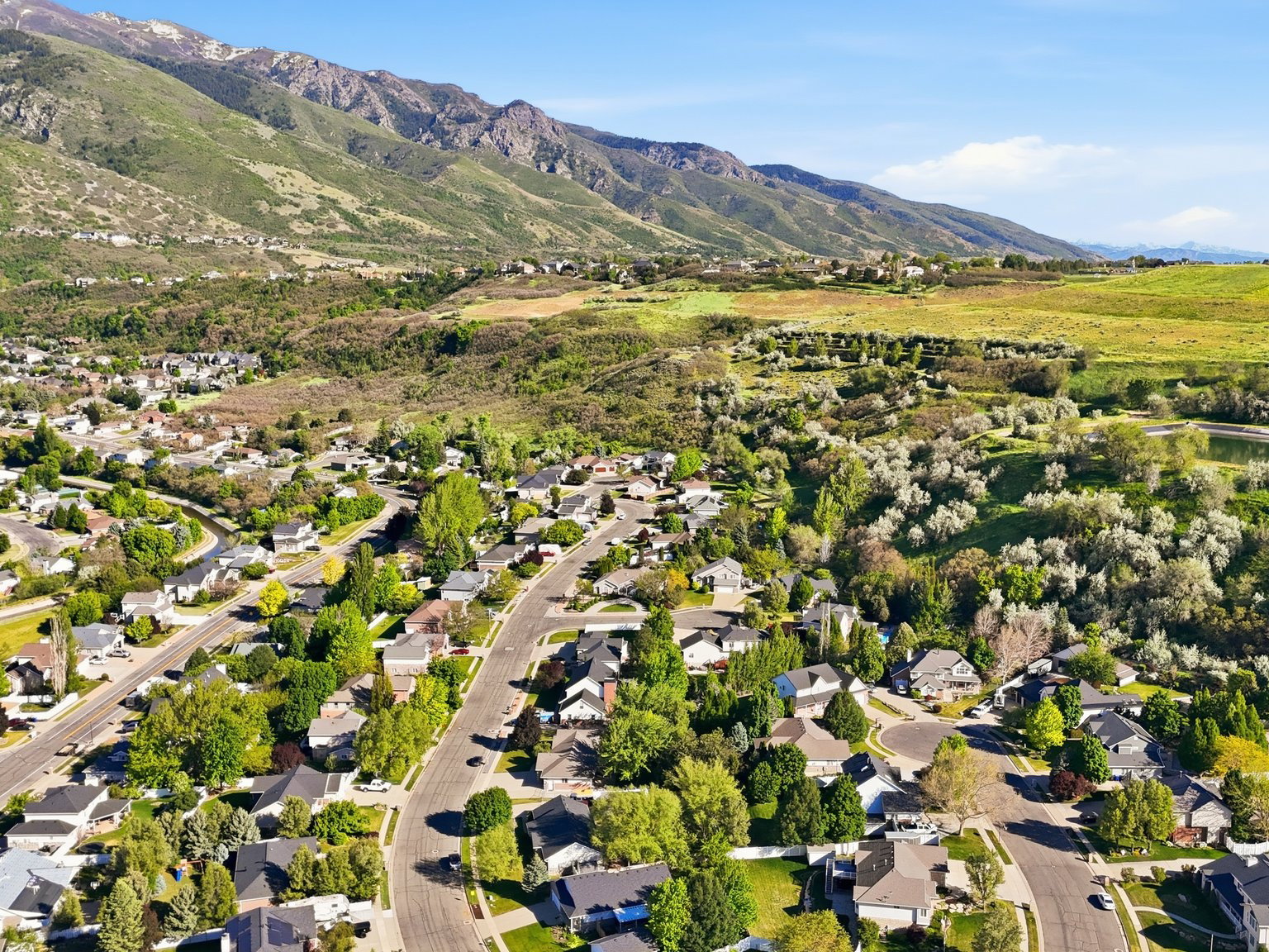 Expansive neighborhood featuring numerous residential properties and mature trees, set against a backdrop of distant mountains and open fields