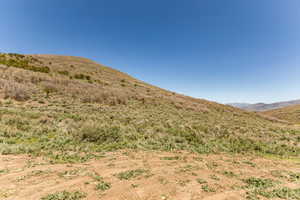 Rolling hillside terrain with varied vegetation under a clear sky