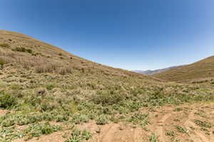 Expansive hillside terrain featuring natural vegetation, a clear blue sky, distant mountain ranges, and varied ground cover