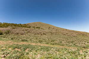 Expansive hillside property featuring diverse native vegetation and a clear blue sky overhead