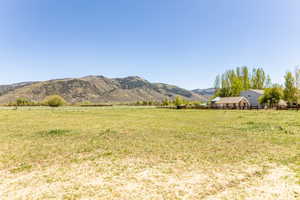 Expansive grassy field with distant mountain scenery