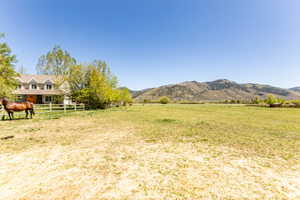 Expansive pastureland with a distant mountain backdrop