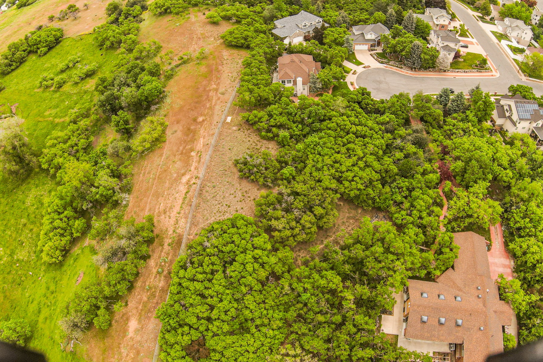 Expansive treed lot with varied terrain, featuring surrounding residential properties and a cul-de-sac
