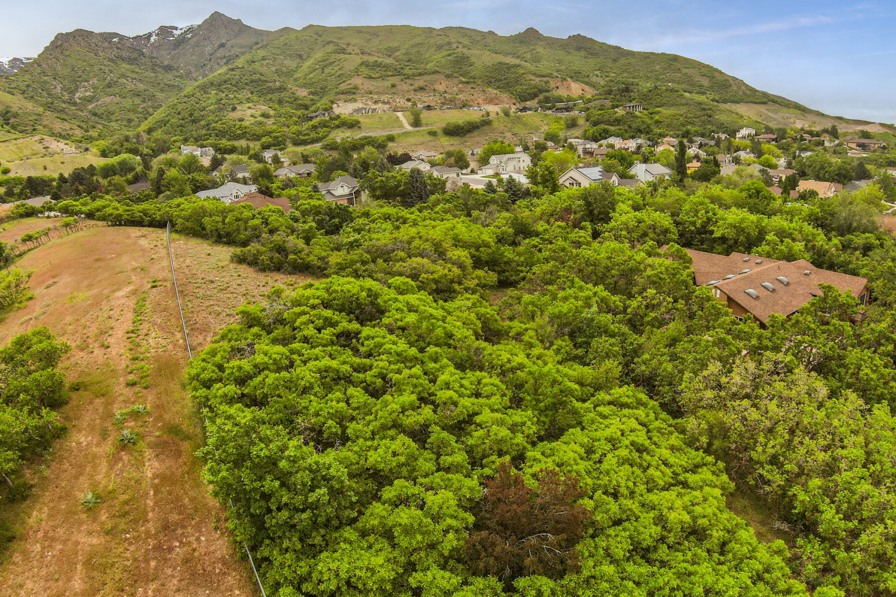 Mountainous terrain surrounding a residential area, featuring lush green foliage and mature trees