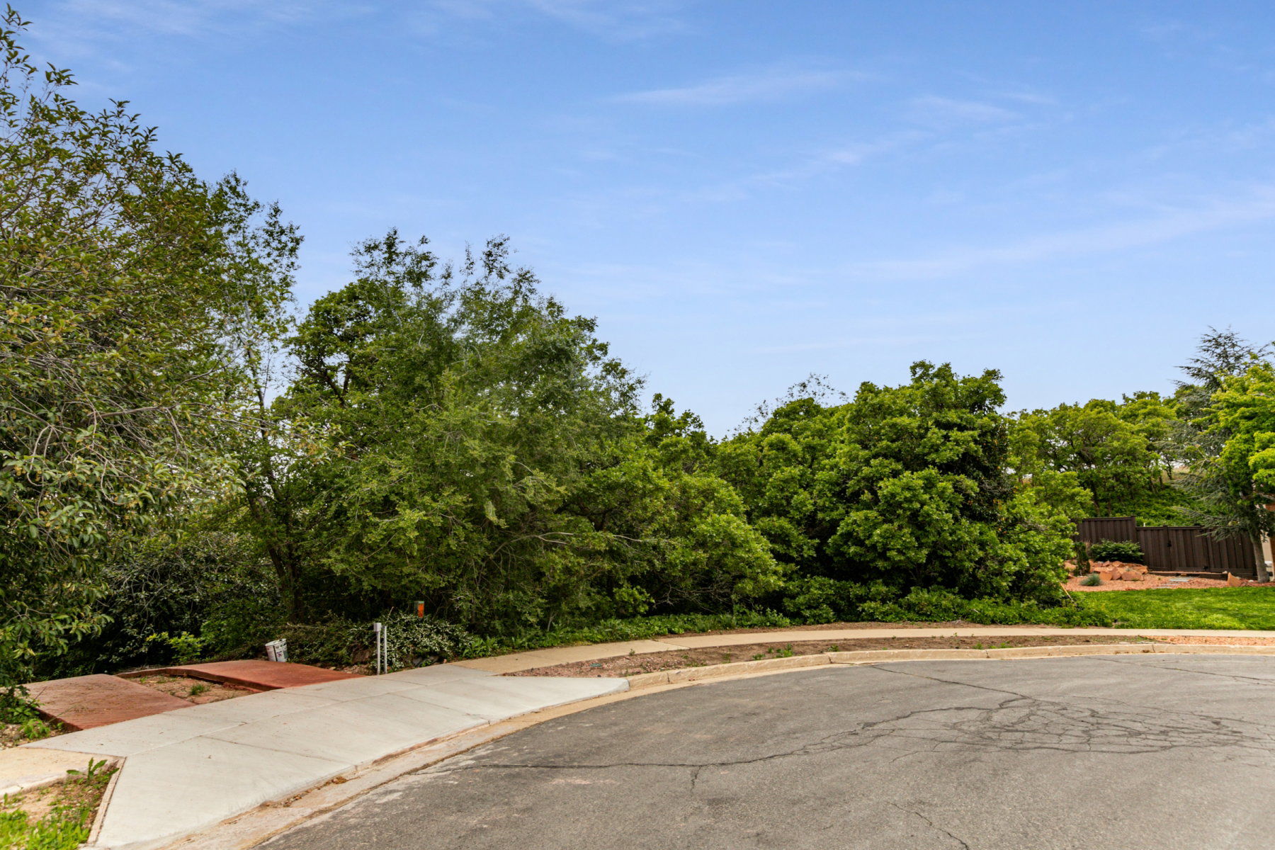 Concrete sidewalk with brick accents bordered by mature landscaping and a paved street