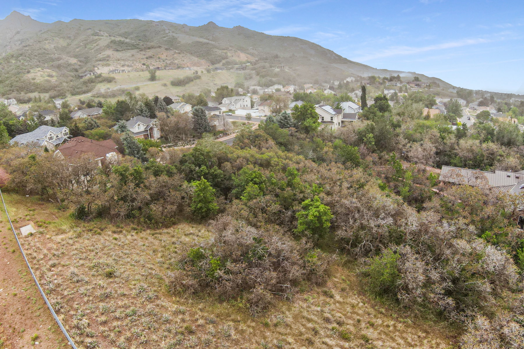 Expansive hillside parcel featuring natural vegetation and a gentle slope