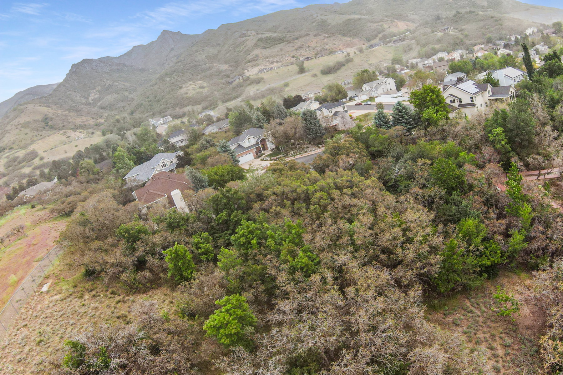Homes nestled into a mountainous landscape with established trees and surrounding vegetation