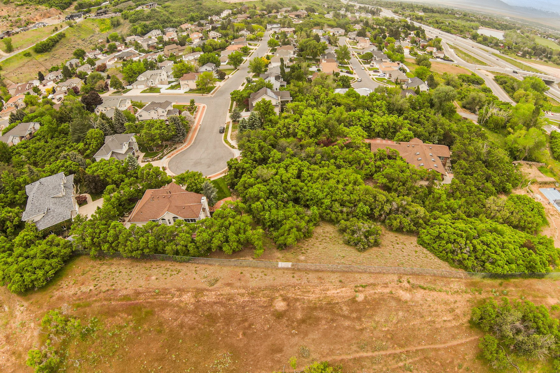 Aerial perspective of a residential area featuring multiple single-family homes with pitched roofs and surrounding mature trees