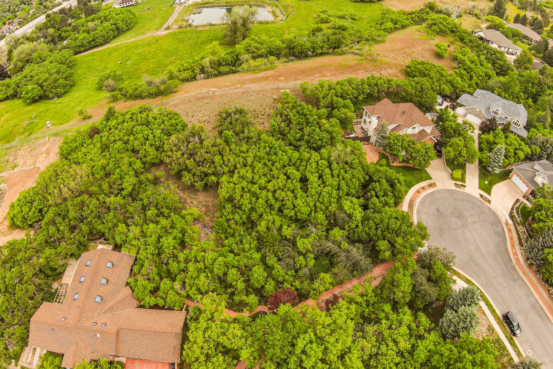 Aerial overview featuring lush green foliage, residential homes with varied architectural styles, and a cul-de-sac