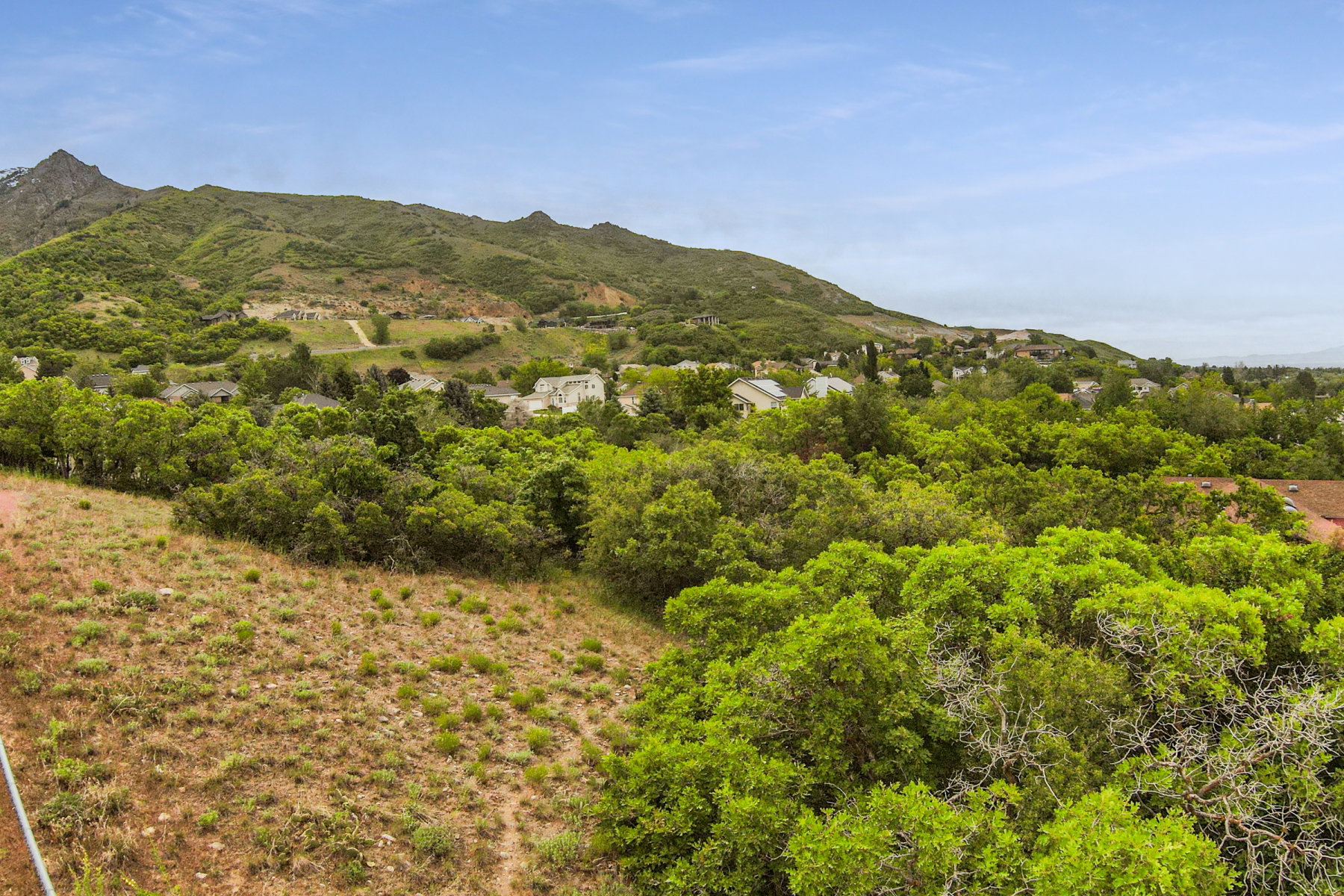 Expansive hillside property featuring mature trees and panoramic mountain and valley scenery