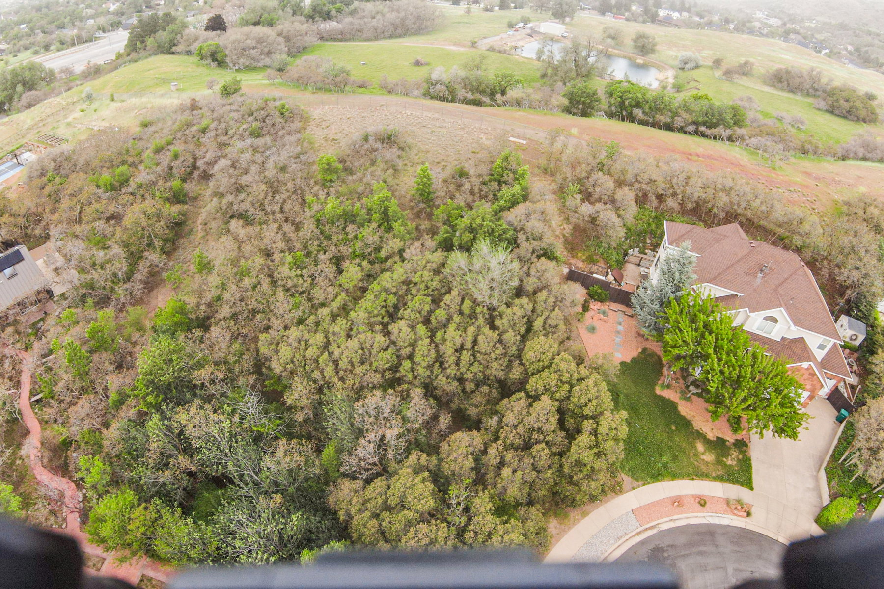 Hillside property featuring a multi-story home with a brown shingle roof, a paved driveway, and established landscaping