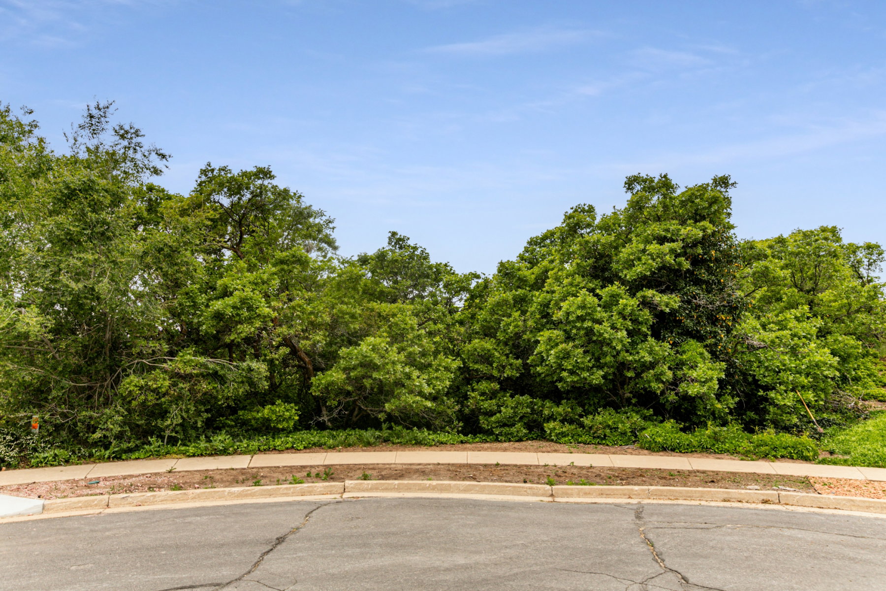 Wooded lot featuring mature trees and a paved street with curb and sidewalk