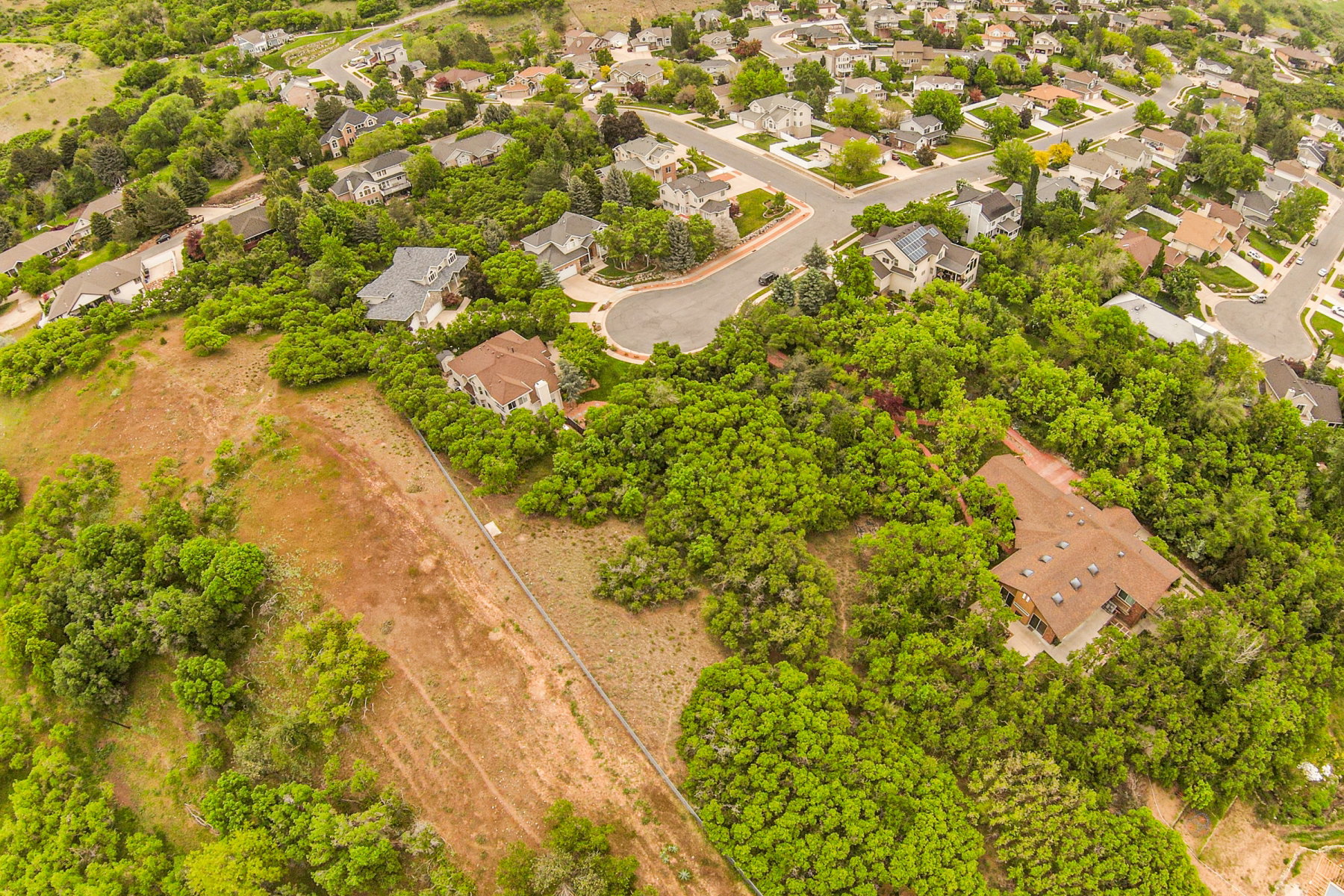 Expansive aerial view showcasing residential properties surrounded by mature green foliage and natural terrain