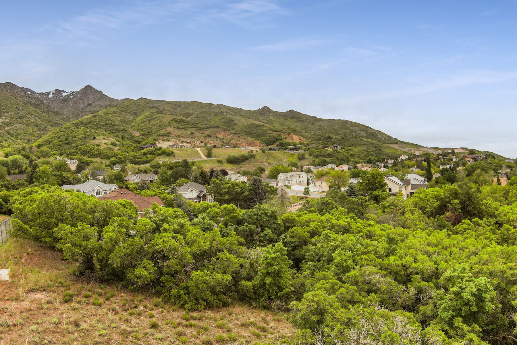 Expansive mountain-backed setting with verdant trees and scattered residential properties