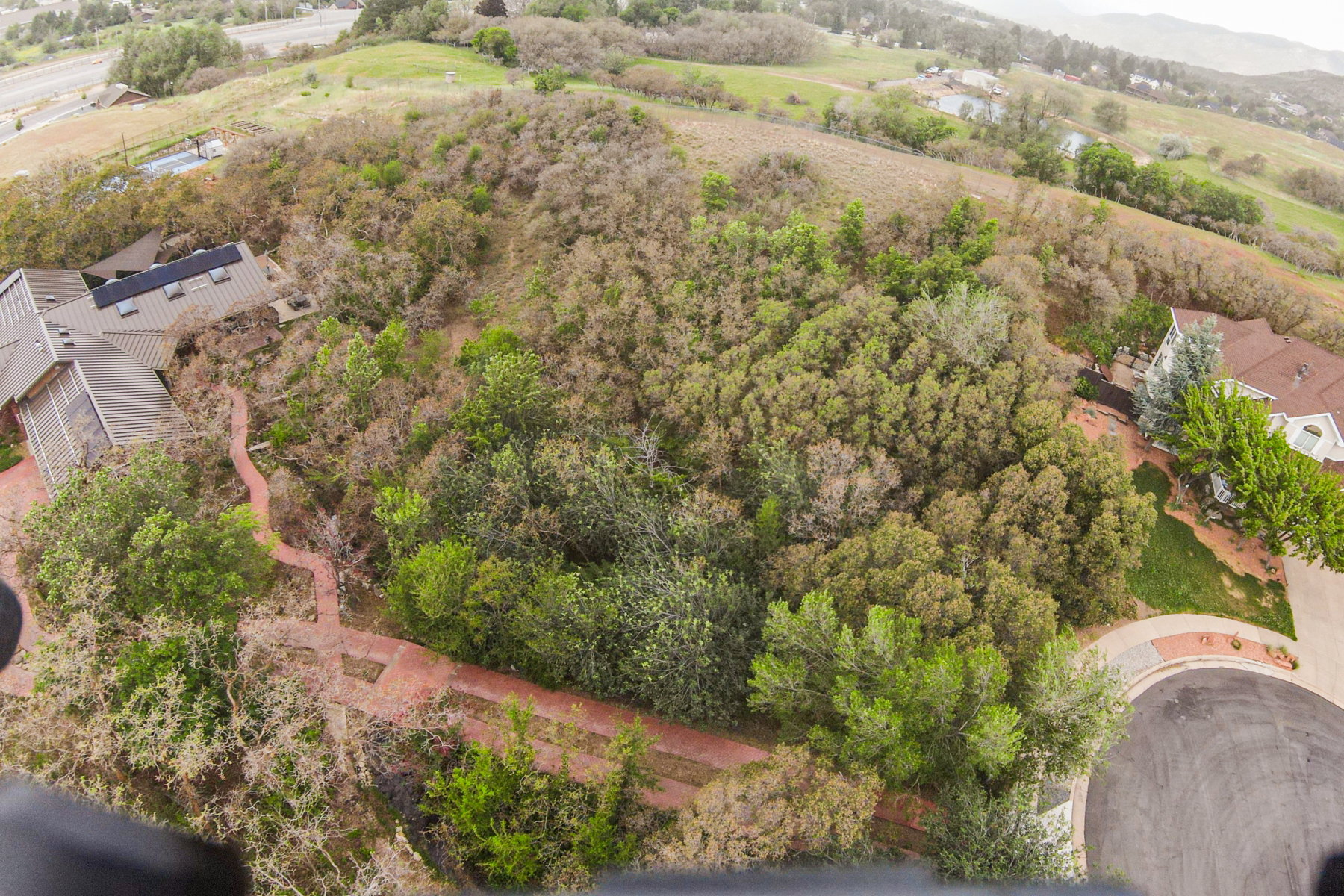 Expansive property featuring significant natural vegetation and mature trees