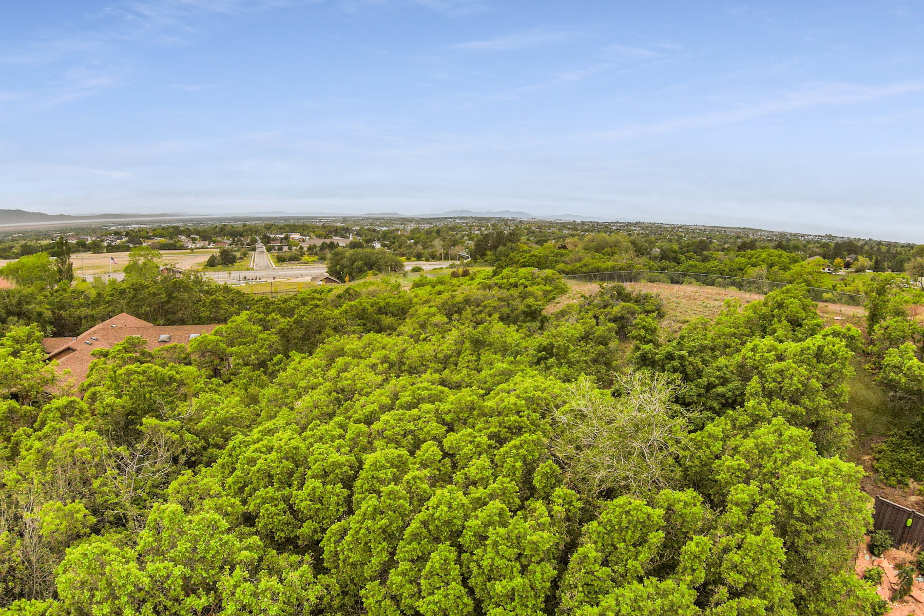 Expansive treed landscape with distant urban and mountainous terrain