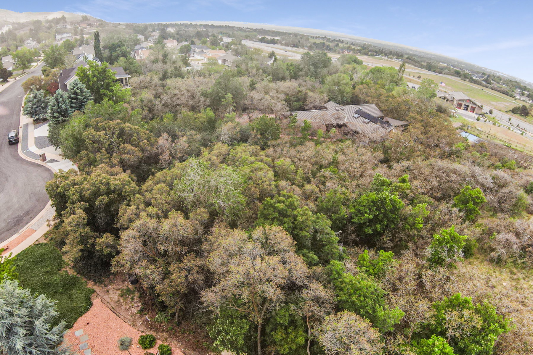 Extensive wooded property featuring mature trees and established landscaping