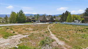 Expansive undeveloped lot with natural vegetation