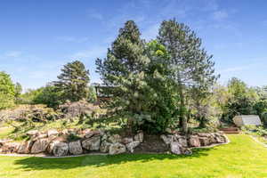 Grassed lawn area with a natural rock retaining wall, mature trees, and tiered landscaping
