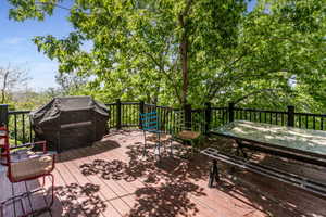 Expansive wood deck with dark railings