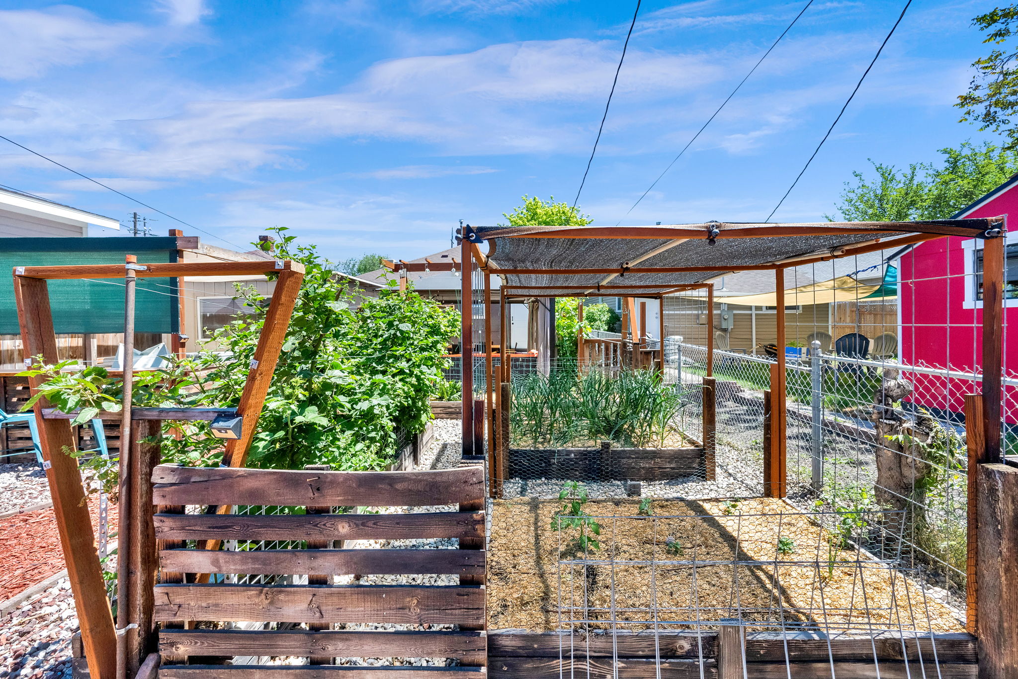 Backyard garden area featuring multiple raised beds with established plantings, wood-frame trellises, and a partial shade structure