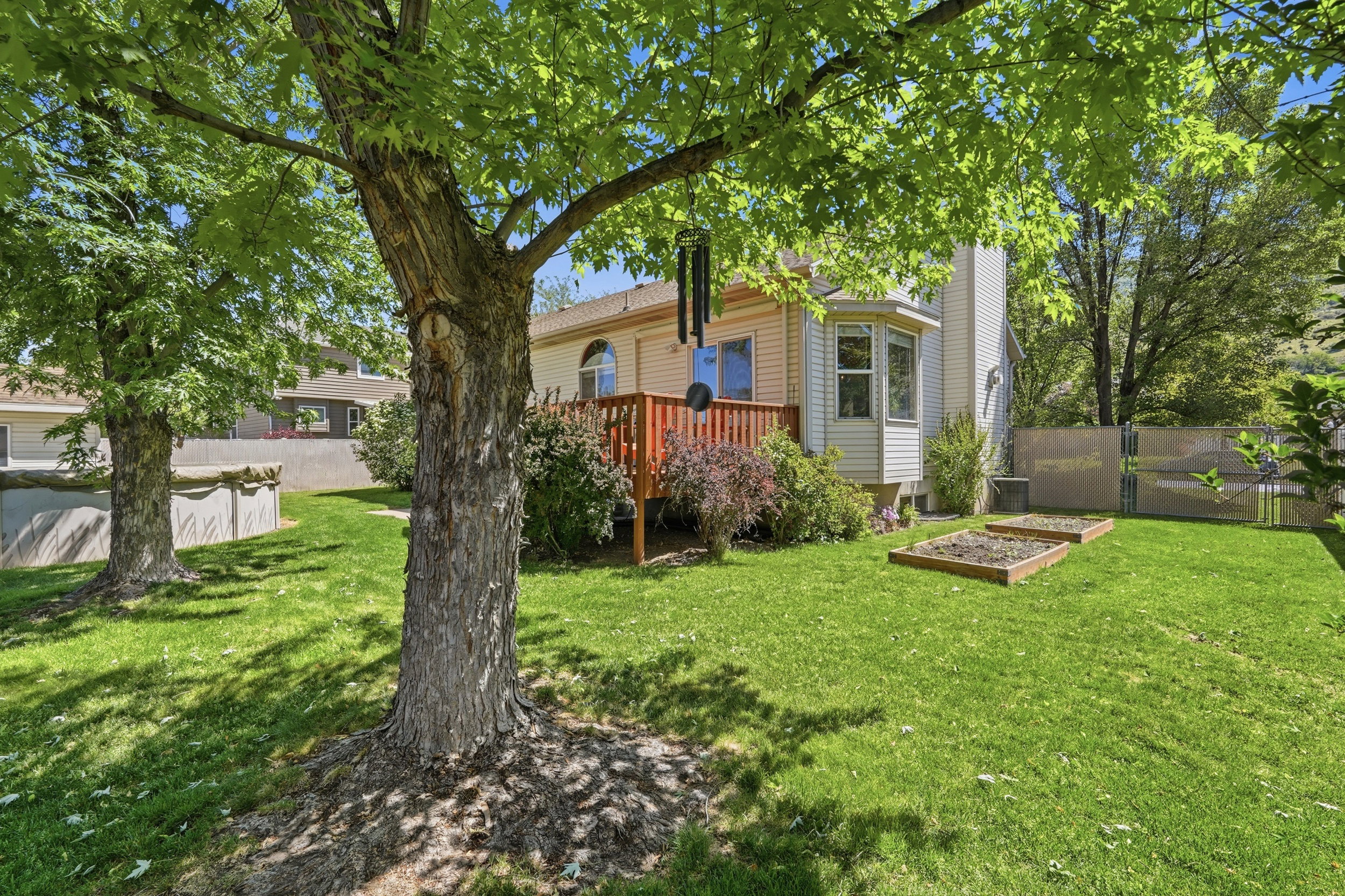 Backyard featuring a manicured lawn, established trees, and raised garden beds