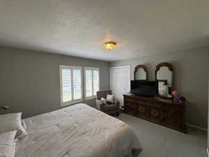 Bedroom featuring light gray walls, textured ceiling, and neutral carpet flooring