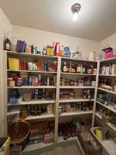 Spacious pantry featuring built-in shelving, ample storage capacity, and recessed ceiling lighting