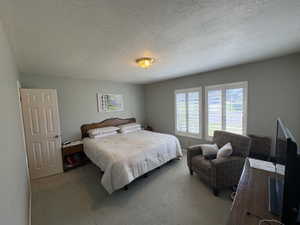 Interior room featuring neutral wall color, carpet flooring, a six-panel door, and twin windows with white plantation shutters